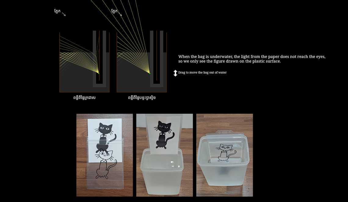 ការពិសោធន៍ "ឆ្មាខ្មៅក្លាយជា ឆ្មាស"