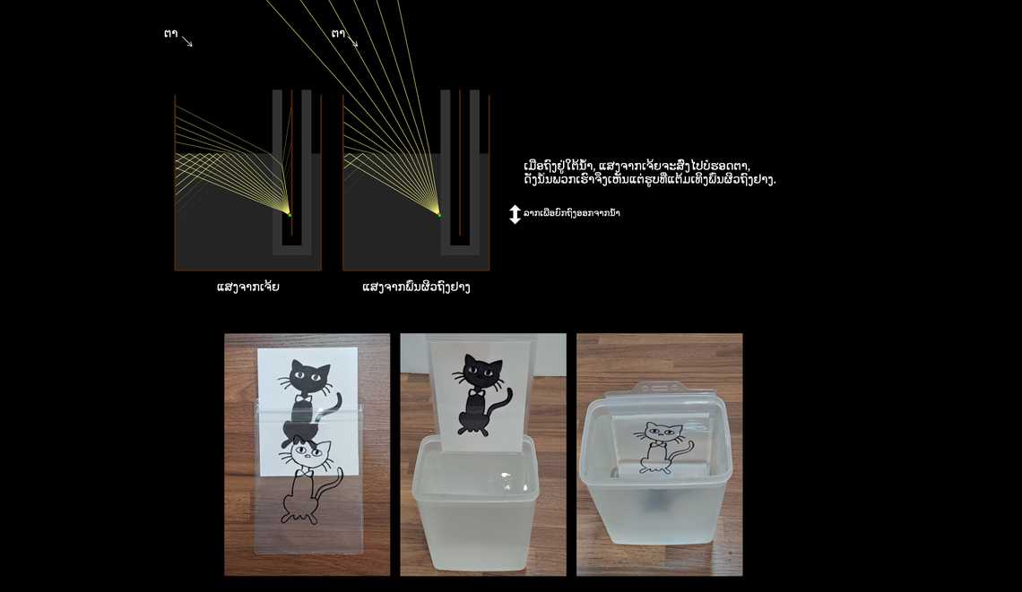 ສາທິດ "ແມວດຳກາຍເປັນສີຂາວ"