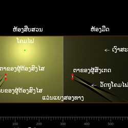 ຫ້ອງສືບສວນ