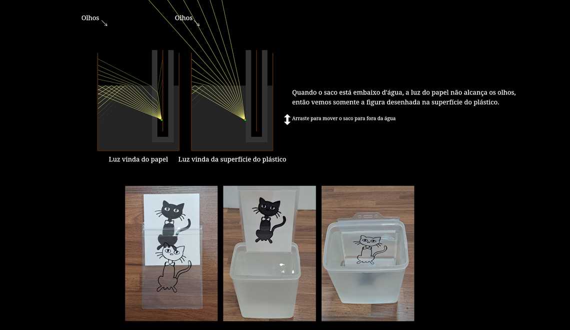 Demonstração "Gato preto torna-se branco"
