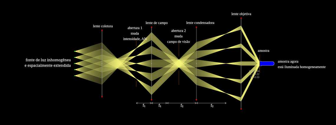 Iluminação de Köhler