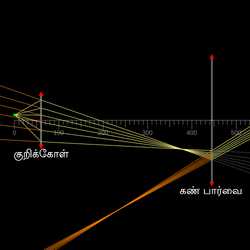 கூட்டு நுண்ணோக்கி