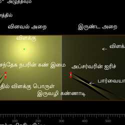 வினவல் அறை